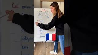 La différence entre (Ce) et (Cet)⁉️🇨🇵#French_Princess #français #learnfrench #french #education