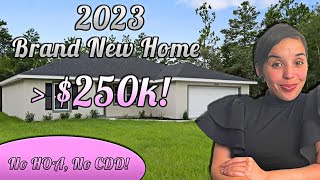 Brand New Home in Ocala UNDER $250k - No HOA, No CDD!