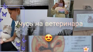 Учеба на ветеринара|| Практика в клинике ||Посылают на практику !