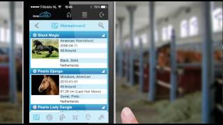 Horsecount mobile: Competition Mobile