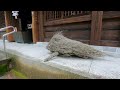 ※不可能を可能にする和気清麻呂公をお祀りする神社【鹿児島県霧島市 和気神社】【祭神：和気清麻呂公】