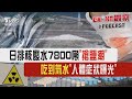 日排核廢水7800噸「搶鹽潮」 吃到氚水「人體症狀曝光」｜CHINA觀察PODCAST