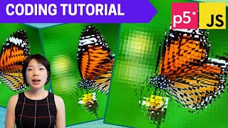p5.js Coding Tutorial | Distorted Reflections (scale function)
