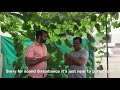 mini organic farm in dubai ദുബായിൽ ഒരു ഓർഗാനിക് പച്ചക്കറി കൃഷി