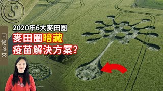 英國驚現病毒麥田圈！這是外星人發出警告？-病毒麥田圈早在2020年6月就預示新冠病毒可能變異而且居然隱藏有疫苗解決方案？2020年麥田圈解析