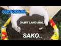 PAANO MAG COMPOST/How to Compost..Very Easy for D Beginner.Organic Fertilizer from your Home Waste..