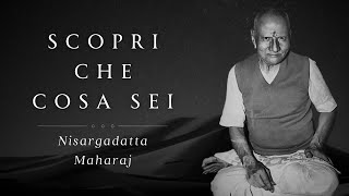 Scopri che cosa sei, Nisargadatta Maharaj