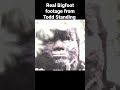 todd standing s real bigfoot footage bigfoot bigfootvideo sasquatch toddstanding