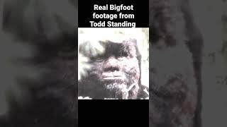 Todd Standing's real Bigfoot footage #bigfoot #bigfootvideo #sasquatch #toddstanding