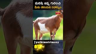 మనిషి జన్మ గురించి మీకు తెలియని నిజం #explore #jyothis #astrologypredictions #predictions #horoscope