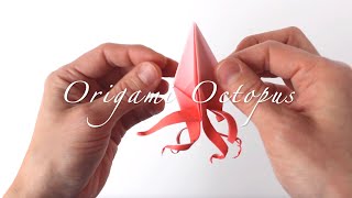 Origami Octopus Review Episode 03