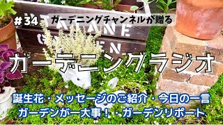 【ガーデニングラジオ】#34 誕生花・ガーデンリポート・大切に育ててきたのにの話・初メッセージのご紹介等。ガーデンの花々を眺めながら心地よいお時間を。#ガーデニング#ラジオ #gardening