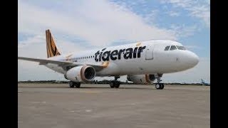 [LIVE] P3DV4 TIGER AIR A320 TGU-TPE 台灣虎航 大邱-桃園 IT1225  YOONA