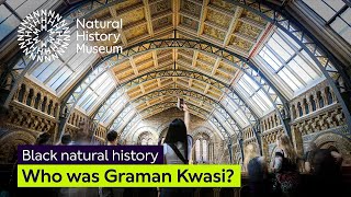 Untold stories: Who was Graman Kwasi? | Black Natural History | (Audio Described)