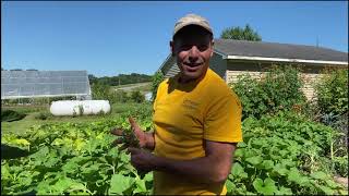 Garden Heritage w/ Gardener John!