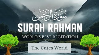 surah rahman  Amazing Quran holy quran recitation tilawat e quran al quran surah @thecutesworld