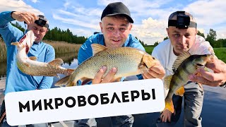 На МИКРОВОБЛЕРЫ клюёт разная рыба! Ловля рыбы на маленькие воблеры на небольшой реке. Обзор приманок