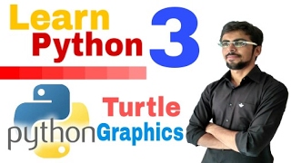 Turtle in python | hindi | #3