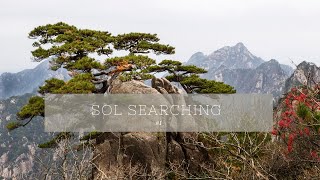 Sol Searching Part 1- Seed or Tree?