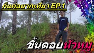 ก็แค่อยากเที่ยว EP.1 - ขึ้นเขาที่ดอยหัวหมู มีหมอกปกคลุมทั้งวัน สวยมาก