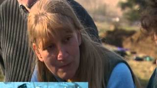 Time Team S11-E05 syndale, kent