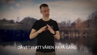 VÅREN ÄR PÅ GÅNG