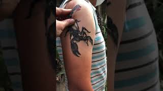 Scorpion Tattoo Healed