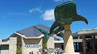 #遊記【翔老師】2019沖繩自由行，海洋博物館之旅，海豚表演（沒去過怕爆雷的先不要看）