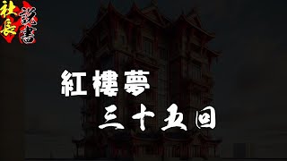 【红楼梦评书-36】【白玉钏亲尝莲叶羹 黄金莺巧结梅花络】