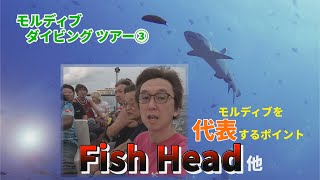 【ネイチャー映像でつづる世界海底旅行記】Fish Head！ モルディブを代表するダイビング・ポイント　他【With English subtitles】