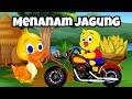 Menanam Jagung - Lagu Anak Anak - Lagu Anak Indonesia