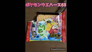 【お菓子】ポケモンウエハースチョコ　シール　開封63