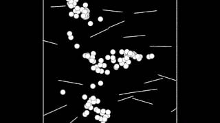 Evolution simulation: avoiding obstacles