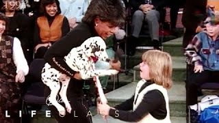 The Healing Power of a Puppy | Oprah's Lifeclass | Oprah Winfrey Network