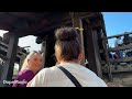 big thunder mountain railroad disneyland resort 2025 4k