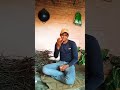 तुमने मेरे पर्स से पैसे 😂😂 skcomedy95 comedyvideos realfools sachincom youtubeshorts