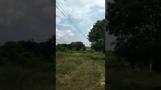 100acers land for sale anantha sagar sadasivapet 1.25cr per acer contact 9177096624