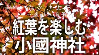 【小國神社】有名な紅葉スポット ＠静岡県周智郡森町一宮