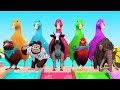 5 Giant Duck Cartoon Bird Monkey Cow Chicken Elephant Wild Animals Crossing Fountain