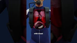 Could You Survive Extreme Ocean Pressure