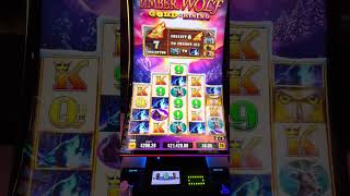 Biggest JACKPOT in history on TIMBER WOLF TRIPLE POWER!!! With re-trigger!!!