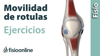 Ejercicio para dar movimiento a las rótulas