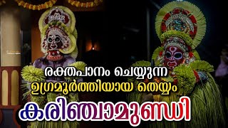 രക്തപാനം ചെയ്യുന്ന ഉഗ്രമൂർത്തി 😱 കരിഞ്ചാമുണ്ഡി തെയ്യം | KARINCHAMUNDI THEYYAM | ❣️Pranav  Divakaran