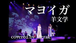 マヨイガ/羊文学(covered by Merak)