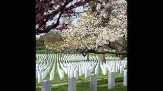 Memorial Day; Life Advice; Susan Page; Moral Injuries; The Mets