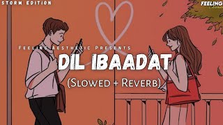 Dil Ibaadat - (Slow+Reverb) | Storm Edition | KK | Pritam | Tum Mile | Feeling A E S T H E T I C