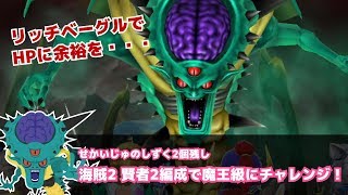 [星ドラ] オルゴ・デミーラ魔王級にチャレンジ