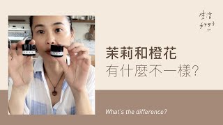 【生活好好】茉莉和橙花有什麼不一樣？