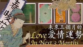 💝Love prediction for the next three months? Tarot / Oracle Card (subtitled)