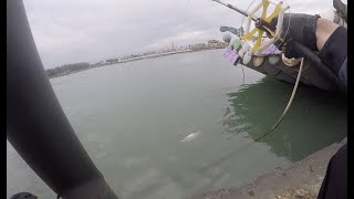 [釣魚Vlog] 布袋漁港 海風長堤 港口前打 中魚小短片 Taiwan Fishing